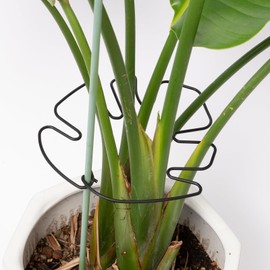 Yohsnor 5PCS Monstera Plant Stem Support -7.3*6.25IN Adjustable Metal Stake for Climbing Plants, Durable Garden Support with Gentle Grips, Ideal for Indoor & Outdoor Use, Ideal Gift for Plant Lovers