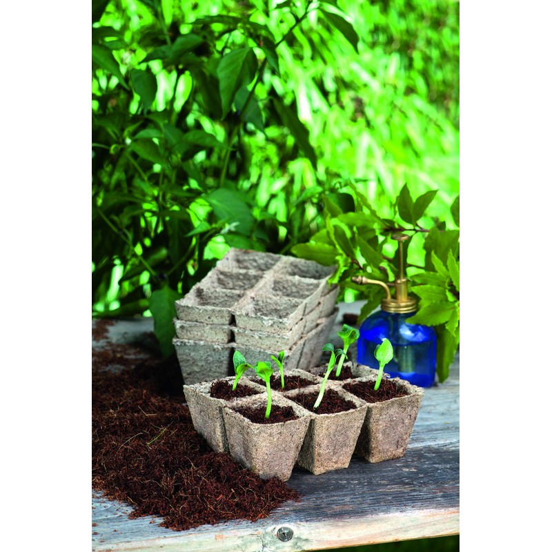 Romberg Classic Square Cultivation Pots 5 x 5 cm (Pack