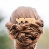 BOXOB 4pcs French Hair Side Comb, Leopard Small French Side
