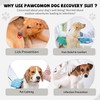 Pawcomon Dog Onesie for After Surgery Recovery Suit Pet Surgical