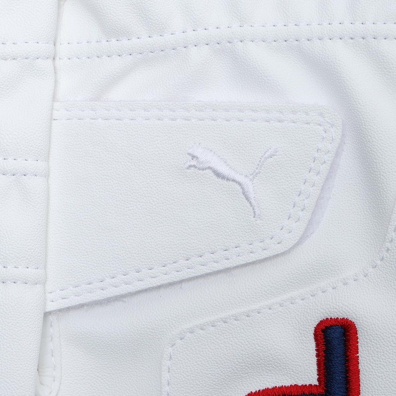 Puma Golf Gloves, Golf P Gloves (Right Hand), Bright White/Deep