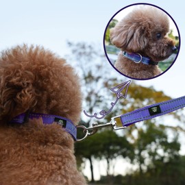 NESTROAD Reflective Dog Collar and Leash Set,Soft Neoprene Pet Collar with Quick Release Buckle,Adjustable Nylon Dog Collars for Small Medium Large Dogs(Small Collar + 5FT Leash,Purple)
