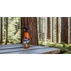 Gliptone Sap Off, Fast-Acting Sap, Pine Tar & Bug Remover