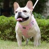 Mercano Soft Mesh Dog Harness and Leash Set, No-Chock Step-in