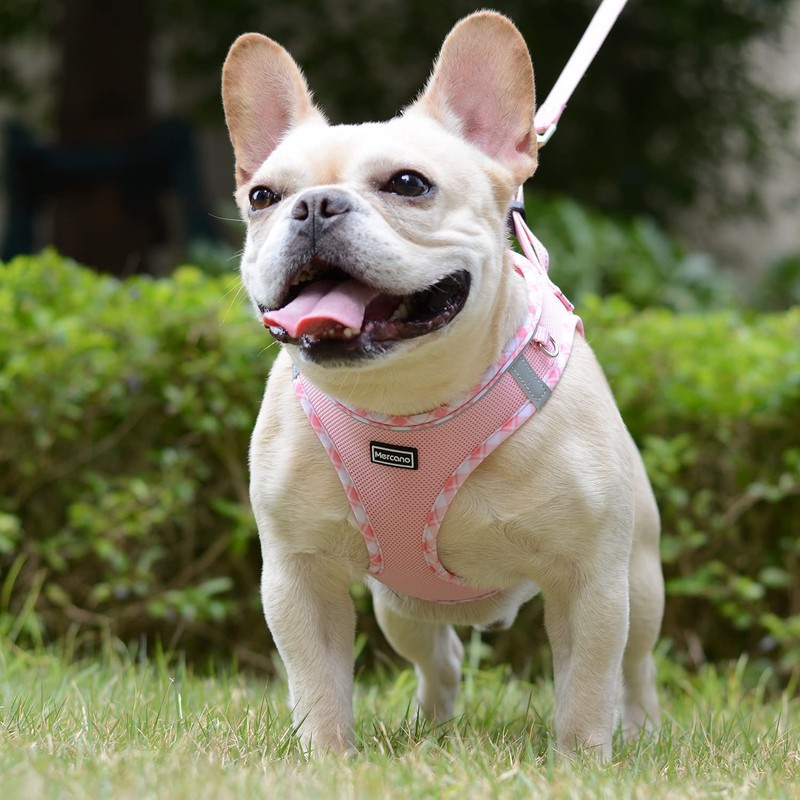 Mercano Soft Mesh Dog Harness and Leash Set, No-Chock Step-in