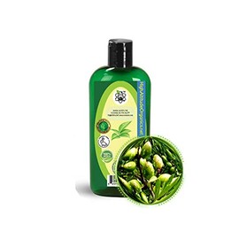 4oz (120ml) Argan Oil for Skin, Virgin