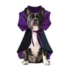 Disfraz de perro pequeño para Halloween, disfraz de perro con