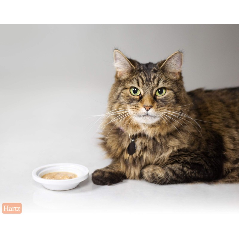 Hartz Lickable Wet Cat Treats