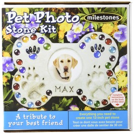 Midwest Products Pet Photo Stepping Stone Kit