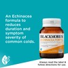 Blackmores Echinacea Forte | Supports Immune System Health | Reduces