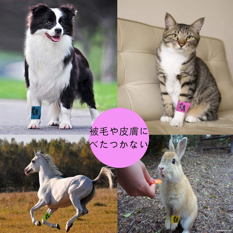 Edostree ペットフレックス 粘着包帯 自着性伸縮包帯 弾力包帯 バンテージ ペット 犬 猫 伸縮