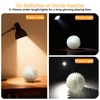 petizer 6 Pack 3.5’’ Glow in The Dark Dog Balls