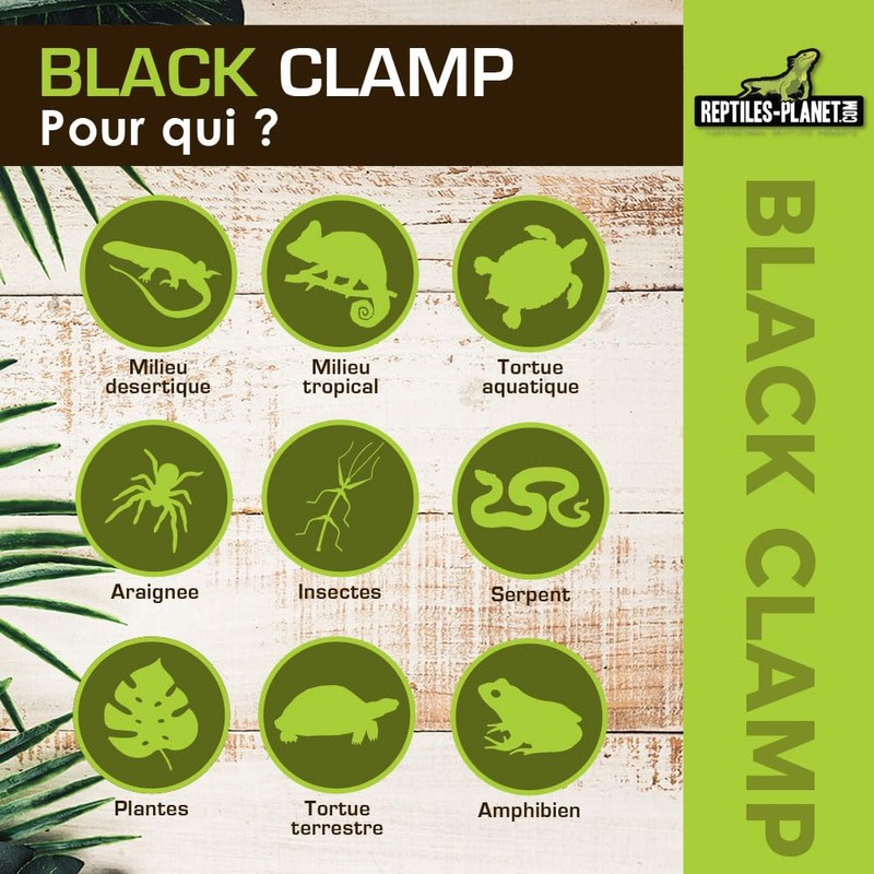 Reptiles Planet 18D 18cm Reptiles Amphibian Guard
