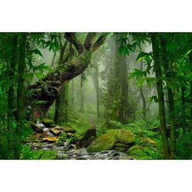 ZatiasMiller Tropical Forest Terrarium Background Stream Foggy Forest Terrarium Background Foggy Rainforest Green Huge Tree Aquarium Background Foggy Moss Tree Polyester Background Vinyl 24x16in