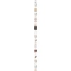 Palmstera Vita Pore Reduction Clear Pack 4gx6ea Ampoule Pack Brush