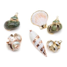 Zotoone 20pcs Natural Pendants - Spiral, Conch, Cowrie, Sea Shells Charms for Nautical, Ocean, Summer Jewelry Craft Making