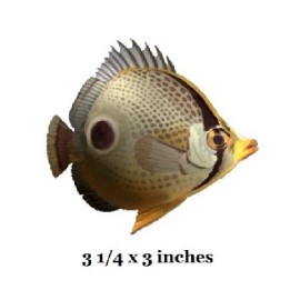 Foureye Butterfly Wall Decal Four Eyed Tropical Fish Vinyl Sticker Peel Stick