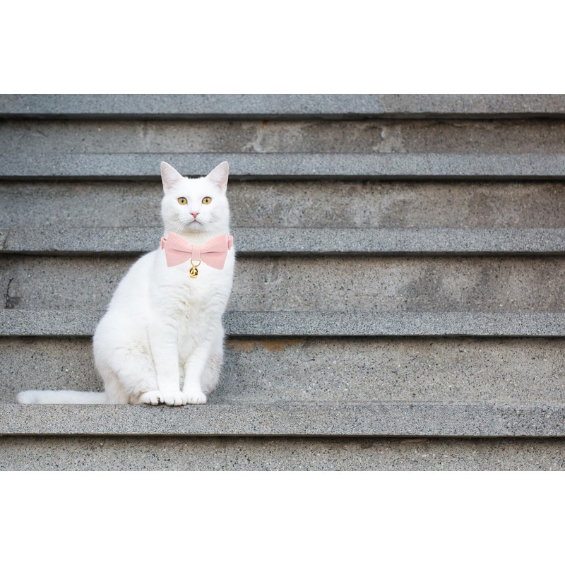 Cute Cat Collars With Bow,Quick Release Safty Buckle with Bells,Soft