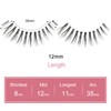 Dorisue Manga lashes Almond eyelashes style natural design false eyelashes