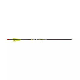 Victory Archery Sport XBolt 20" 6pk Fletched