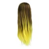 Gradient Wig Hair Mannequin Head Hairdressing Styling Training Braiding Doll