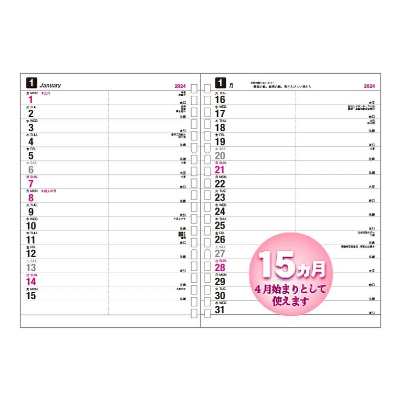 Collect C-757 2024 Diary Leaf (Process Diary for 15 Months),