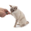 Gentle Grooming Cat Clippers - Nail Clippers by Jackson Galaxy