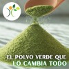 Nopal En Polvo 1kg Excelente Calidad