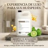 Shampoo anticaída sin sales de Bergamota Vitamina E Anticaída Y