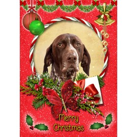 German Short Haired Pointer Dog Christmas Card Red 'Merry Christmas' - Special Animal Xmas Card for Him Her from Pets Kids