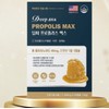 Health Functional Food Propolis Max 60 Capsules KS Deep Sea