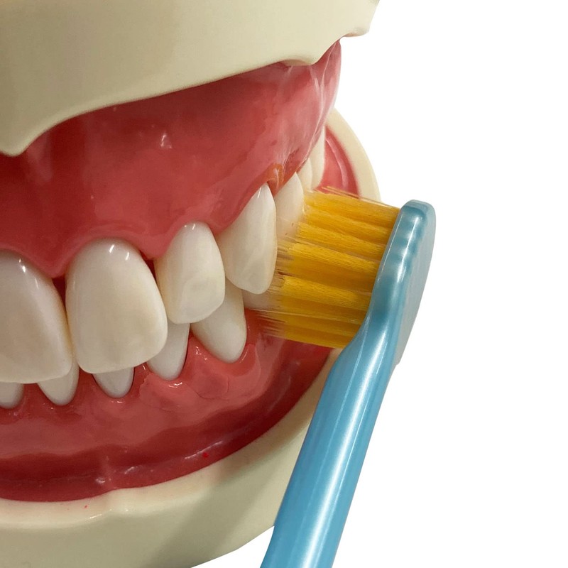 プレミアムケア高歯垢除去・6列超コンパクト ふつう 3本組