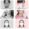 Basic Standard Mask, Non-Woven Blood Color, QUEEN 3D Lipstick, Comfortable,
