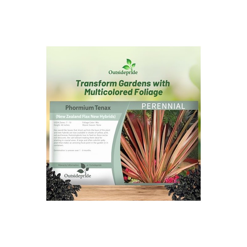 Outsidepride New Hybrids Phormium Seeds - 100 Pcs Perennial, Sword-Shaped