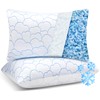 Cooling Pillows for Sleeping 2 Pack,Luxury Shredded Memory Foam Hotel