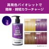 [got2b] Bonded Color Shampoo Violet (Color Shampoo for High Damage