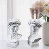 POCHY David Head Statue | Resin Bust Statue Art Craft
