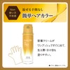 Salon de Pro Hair Dye Oil Rich Cream Hair Color,
