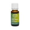 RATHAUS APOTHEKE WIEN Concentrated Bud Extract - Gemmotherapy - Rubus