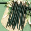 Seeds Salsify Black Root Scorzonera Heirloom Vegetable for Planting Non