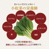 Orlando Komatsuna, Komatsuna Powder, Komatsuna Powder, 3.5 oz (100 g),