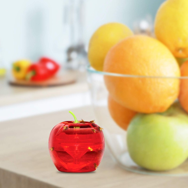 Fruit Fly Traps for Indoors by Raid | 2 Lures