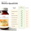 Bitter Melon Tablets 400 mg | 140 Tablets Momordica Charantia
