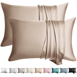WLOSJ 100% Silk Pillow Cases 2 Pack Queen Size Mulberry Silk Pillowcase for Hair and Skin Set of 2 Highest Grade 6A Silk Soft Breathable Cooling with Hidden Zipper, Taupe