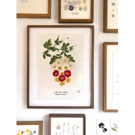 Buzidao Real Natural Pressed Flowers, Dried Pressed Flowers for Epoxy Resin Mold, Paper Making, Art Frame, Nail Art, Candle Making, DIY Craft Supplies Beginner Kits