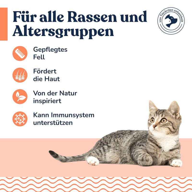 felmo Skin and Coat Paste for Cats (100g) Supports Improvement