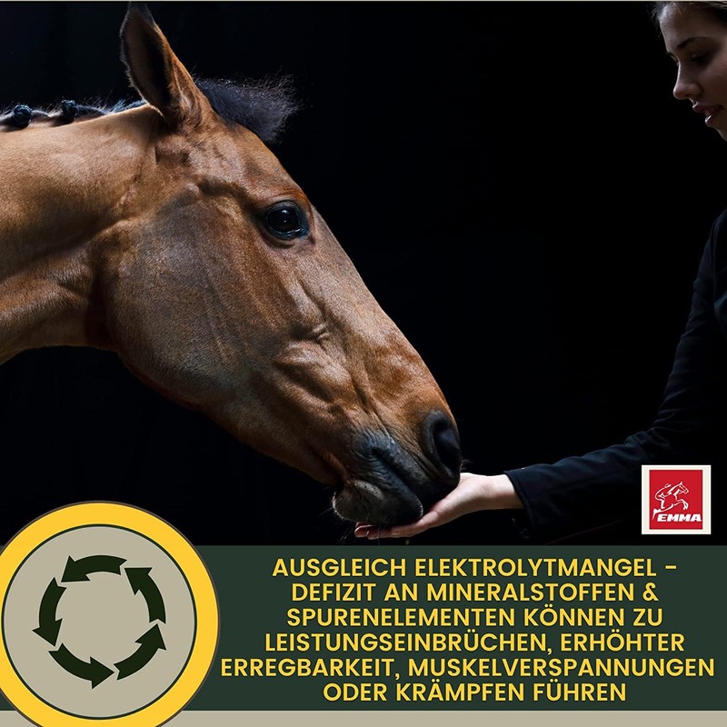 Elektrolyte Pferd - Vitamin Paste für Pferde I Vitamin b