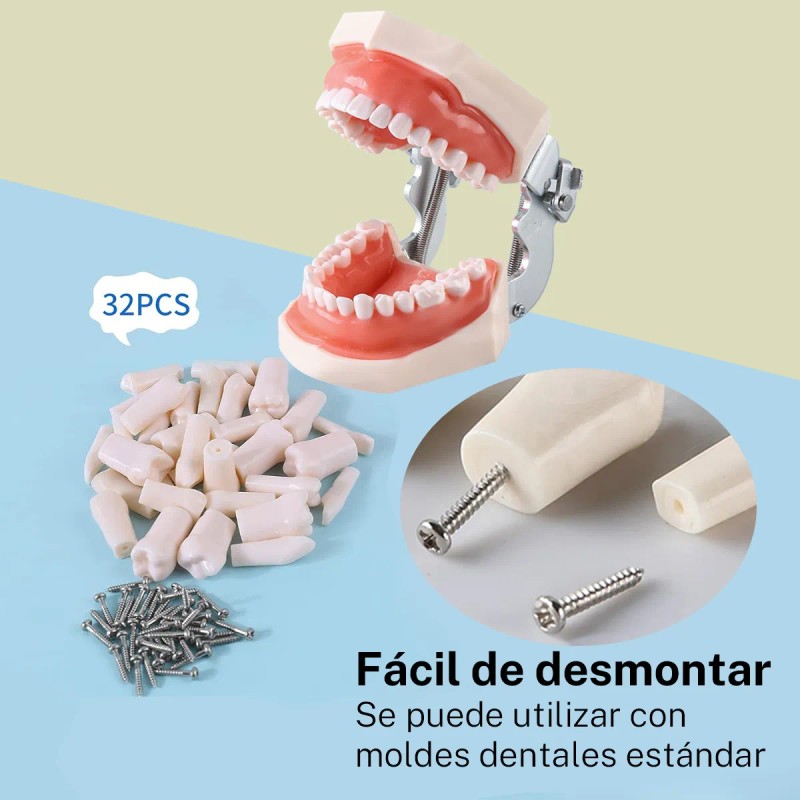 Paquete Dientes Compatibles Nissin Tipodonto