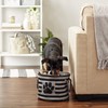 Bone Dry Pet Storage Collection Striped Paw Patch Bin, Black,