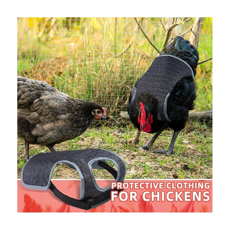 Chicken Saddles for hens, Chicken Apron Back Protector for Hens